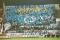Championnat